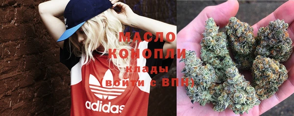 гидра Аркадак