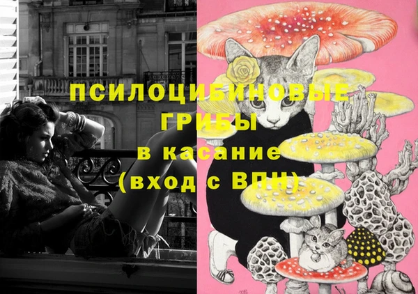 гидра Аркадак