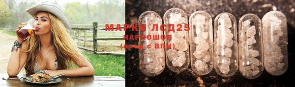 гашик Приозерск