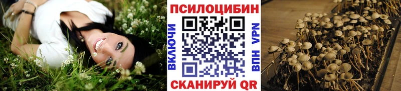 Галлюциногенные грибы прущие грибы  Бронницы 
